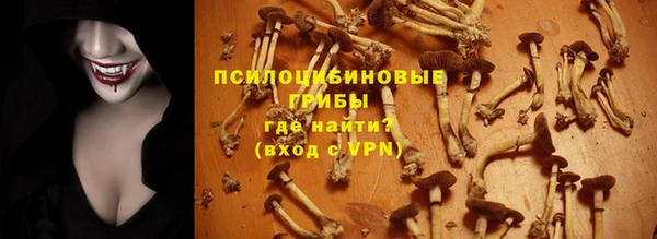 2c-b Саяногорск