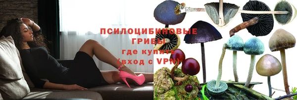 индика Алексеевка