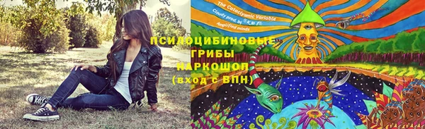 индика Алексеевка
