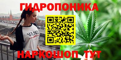 крисы Волжский