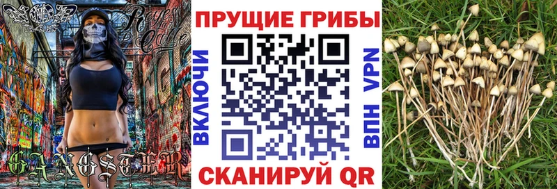 Галлюциногенные грибы Psilocybine cubensis  ОМГ ОМГ рабочий сайт  Нурлат 