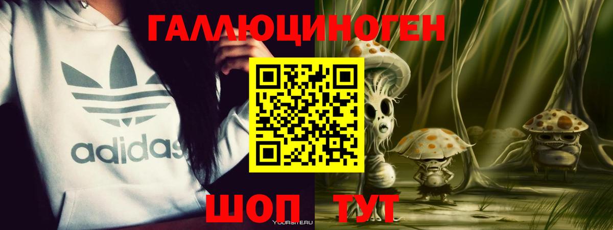 Нурлат  Псилоцибиновые грибы Psilocybe  Вход с VPN 